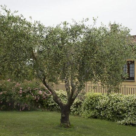 סוטרי Agriturismo Scuderie Della Contea מראה חיצוני תמונה