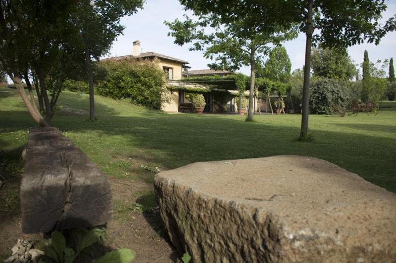 סוטרי Agriturismo Scuderie Della Contea מראה חיצוני תמונה