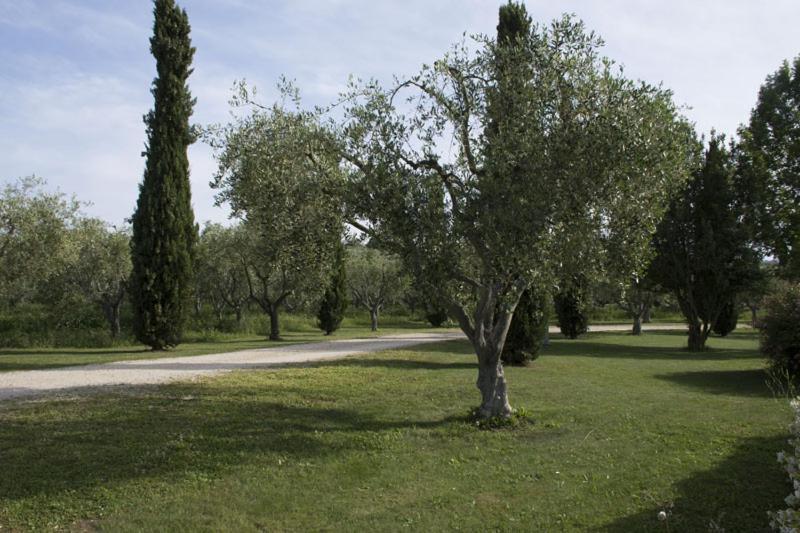 סוטרי Agriturismo Scuderie Della Contea מראה חיצוני תמונה