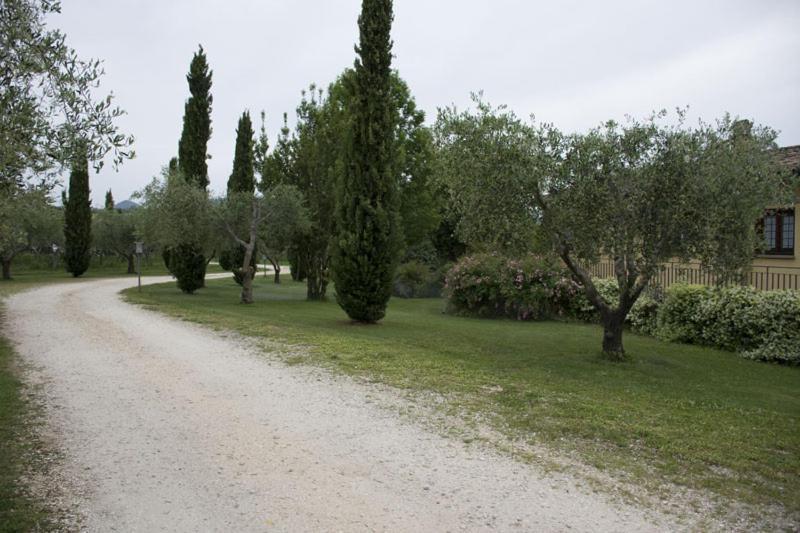 סוטרי Agriturismo Scuderie Della Contea מראה חיצוני תמונה
