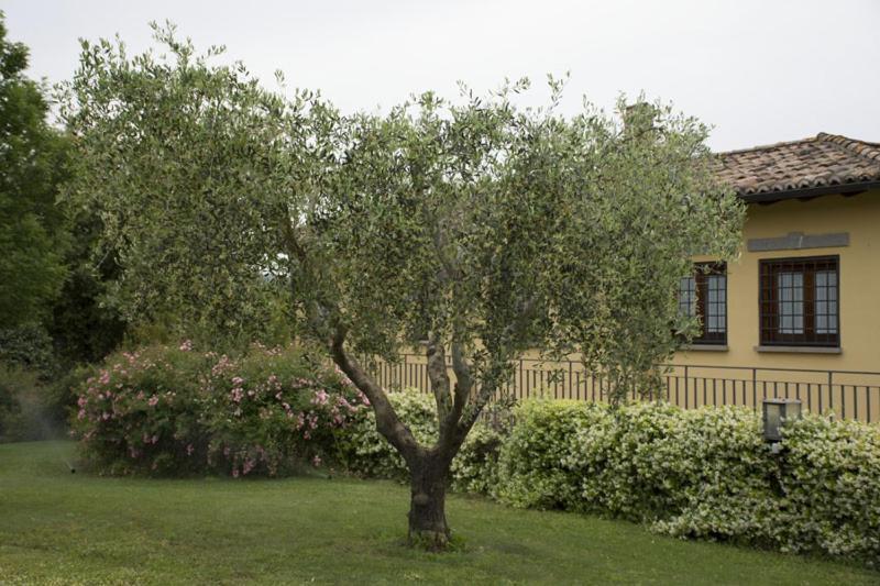 סוטרי Agriturismo Scuderie Della Contea מראה חיצוני תמונה