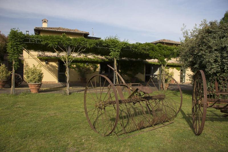 סוטרי Agriturismo Scuderie Della Contea מראה חיצוני תמונה
